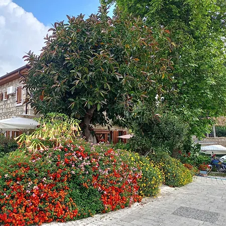 Guest house Yuekser