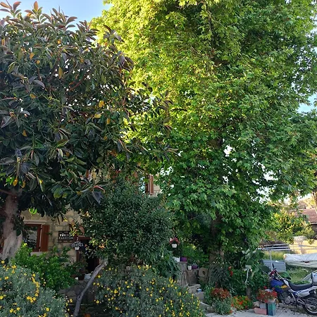 Guest house Yuekser Side