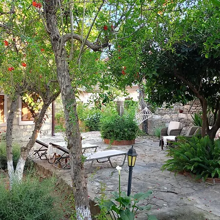 Guest house Yuekser
