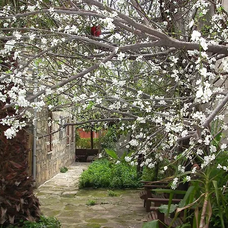 Yuekser Guest house